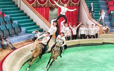 Ahalteke horse festival image