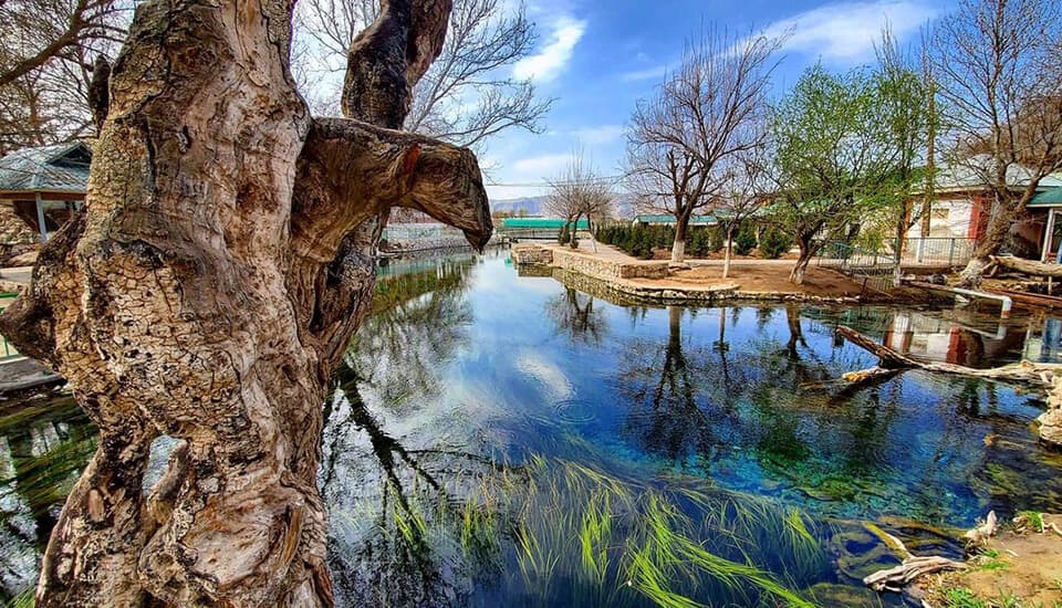 Chiluchorchashma image