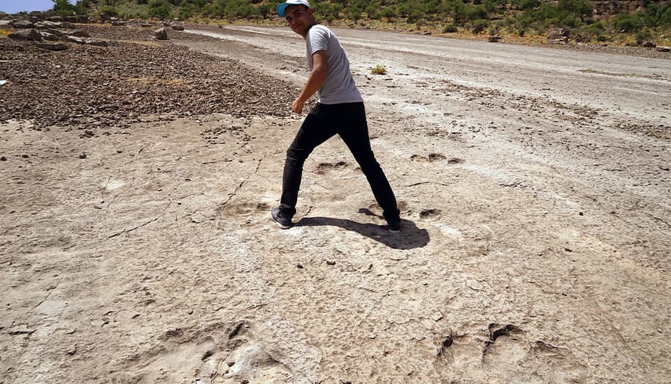 footprints-of-dinosaurs-image