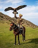 hunting-with-birds-image