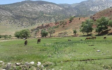 The Hojapil Limited Nature Reserve image