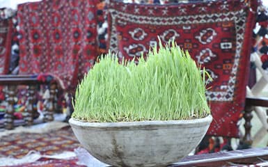 Symbol of Novruz image