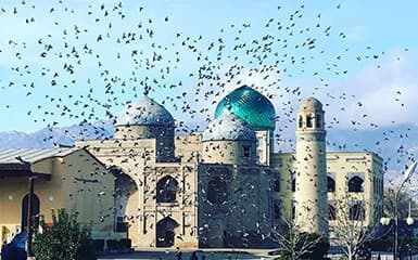 Mausoleum of Sheikh Muslihiddin image