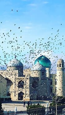 sheikh-muslihiddin-image