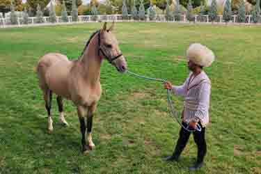 turkmenistan-group-trip image-3
