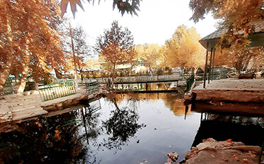 Nature image