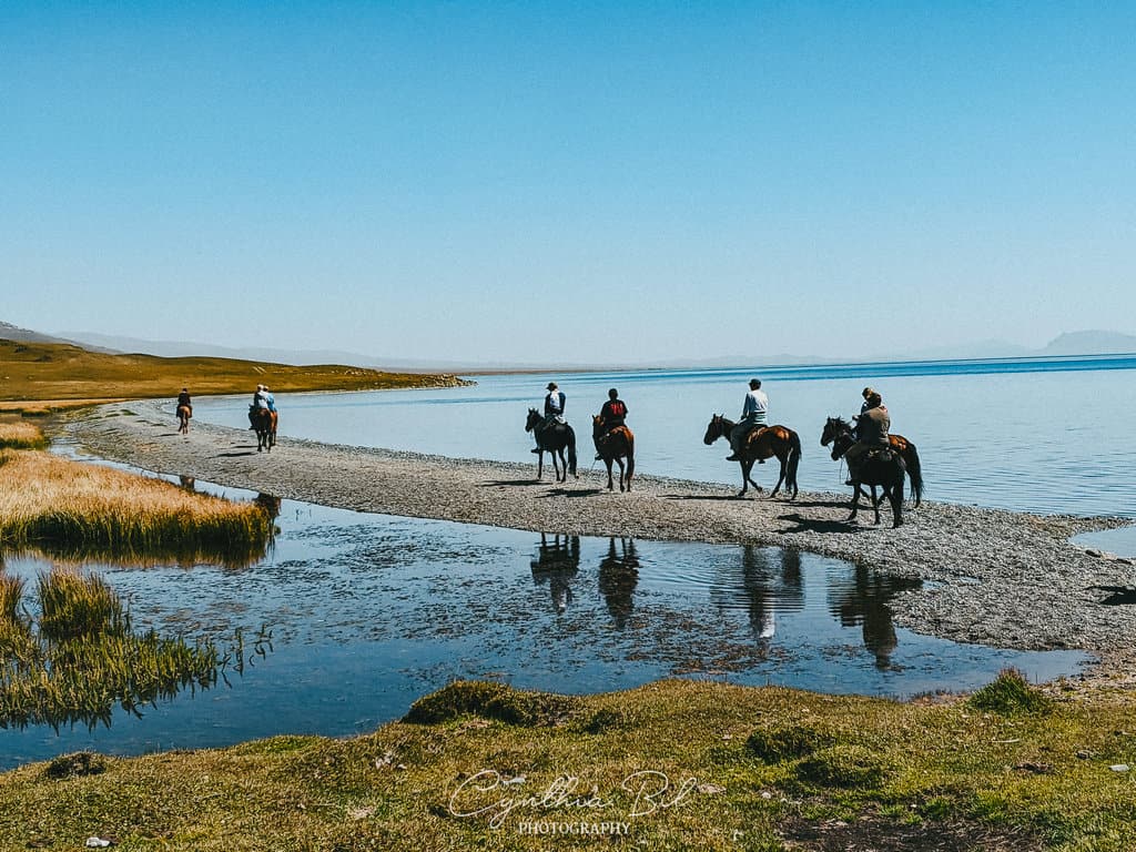 horse-riding image-2