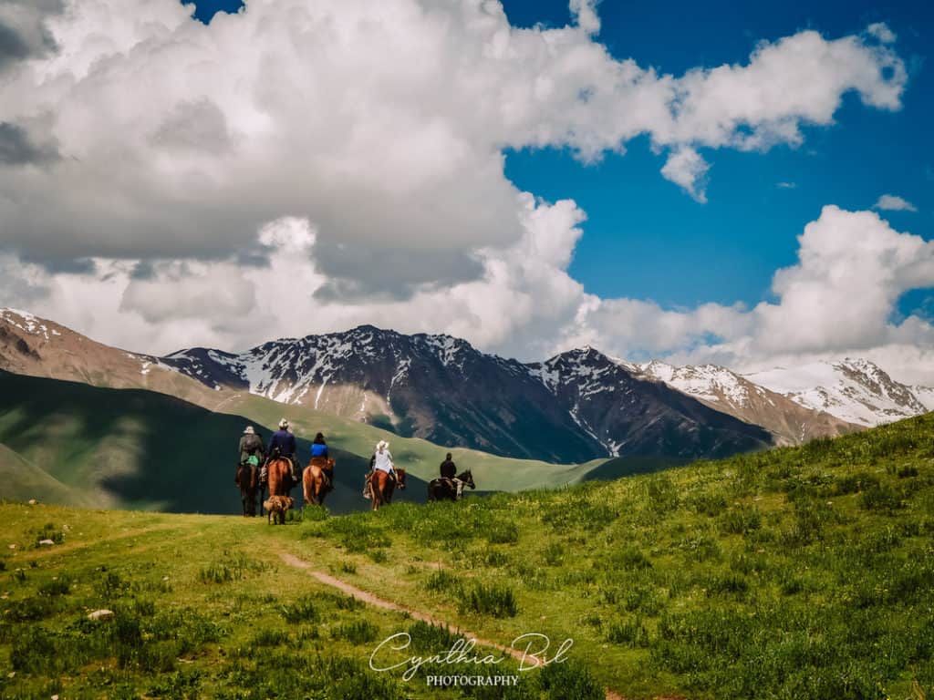 horse-riding image-5