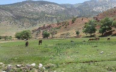 The Hojapil Limited Nature Reserve image