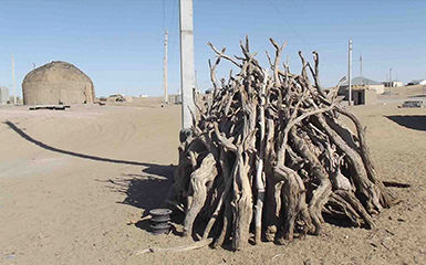 Bunch of saksaul image