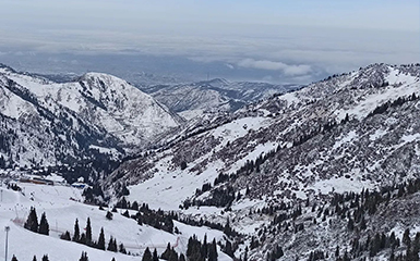 Panoramic view image