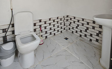 Flush toilet image